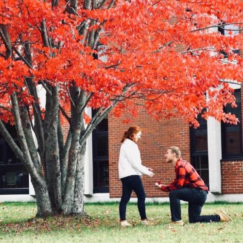 126122018101859-amelia-caleb-fall-tree-marriage-proposal